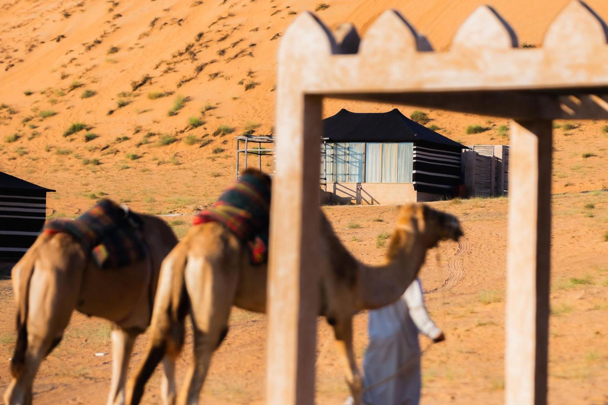 Thousand Nights Camp Shahiq ห้อง รูปภาพ